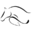 www.les-ecuries-de-pommeil.com logo
